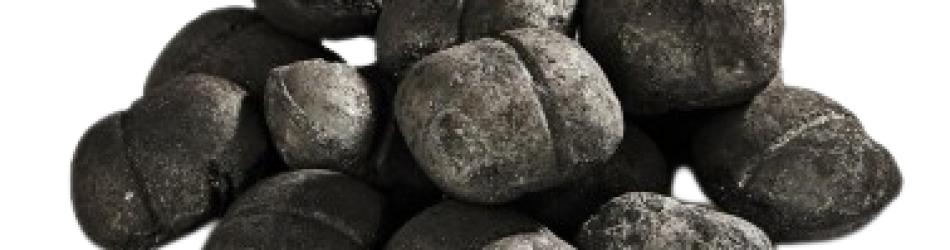 Cut Out the Logs and Use Briquettes – But Why?