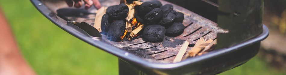 Innovative Ways to Re-Use & Recycle Your Briquette Ashes
