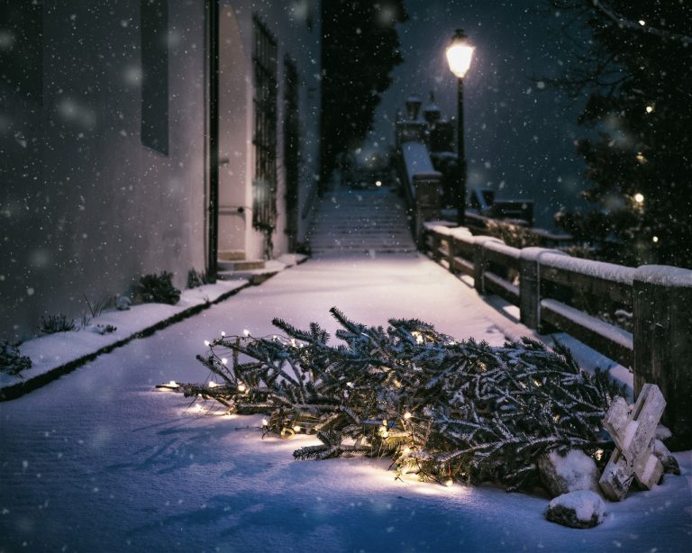 Christmas Tree on the floor outside in the snow