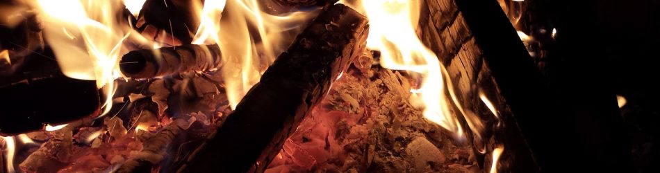 Are Wood Briquettes Better Than Logs?