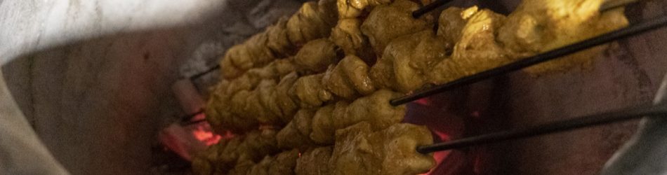 Professional Tandoori Oven Charcoal Tips