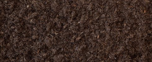 Compost Buying Guide