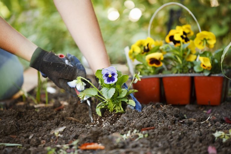 What’s The Difference Between Compost And Topsoil Or Manure? - KG Smith & Son