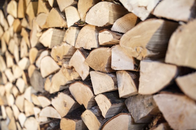 Hardwood Vs Softwood - KG Smith & Son