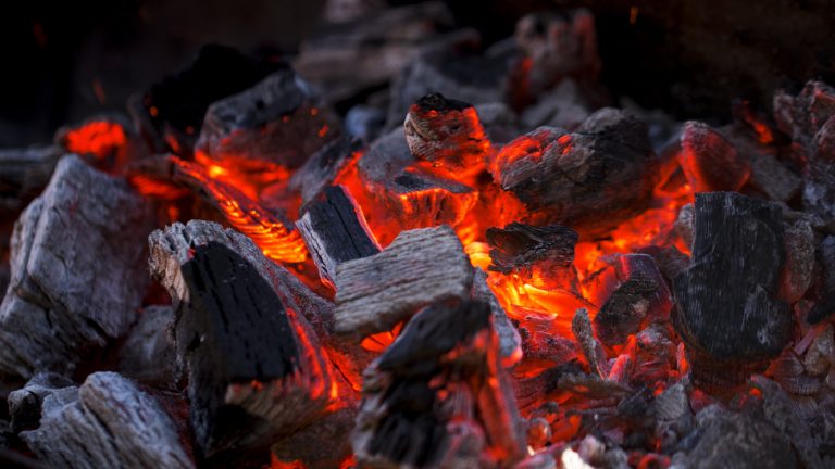 Lumpwood Charcoal Vs BBQ Briquettes